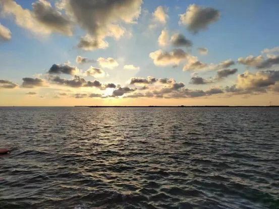 ��2��Ա�������ٷ���վ