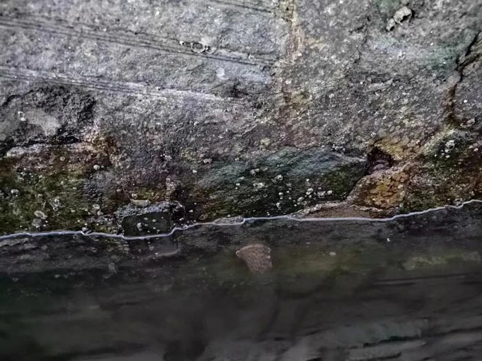 ��2��Ա�������ٷ���վ