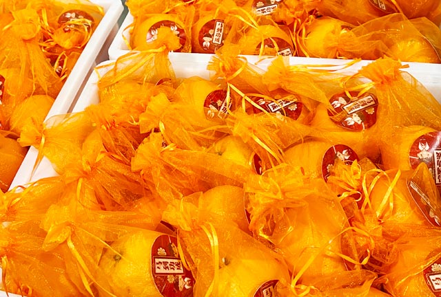 ��2��Ա�������ٷ���վ