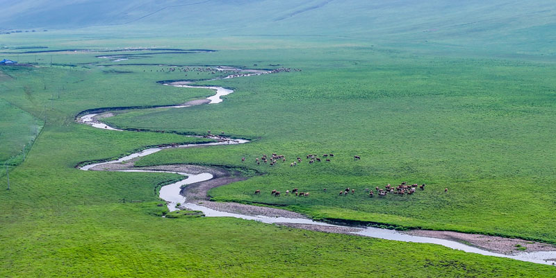 ��2��Ա�������ٷ���վ